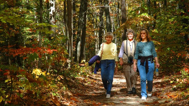 Hikers