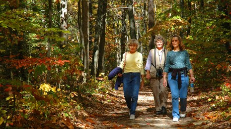Hikers