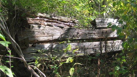 ruins of an old cabin