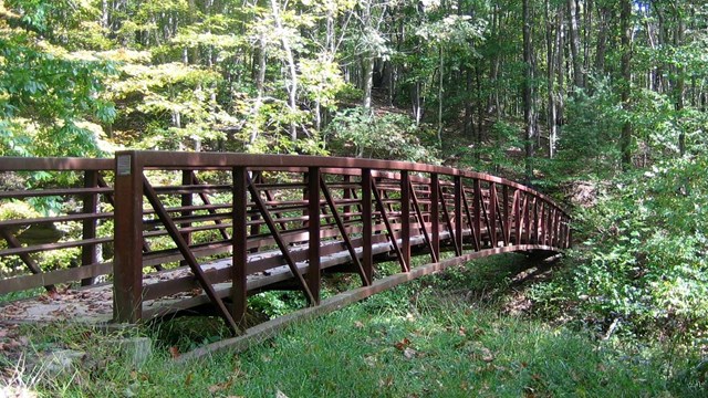 footbridge over a stream
