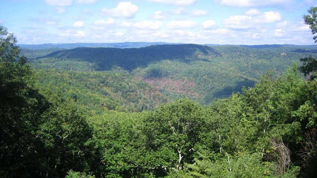 view of Bluestone gorge