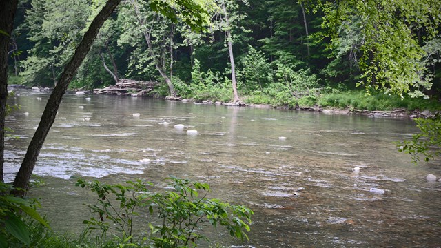 bluestone river
