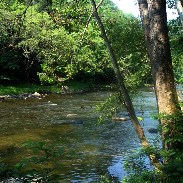 view of Bluestone River