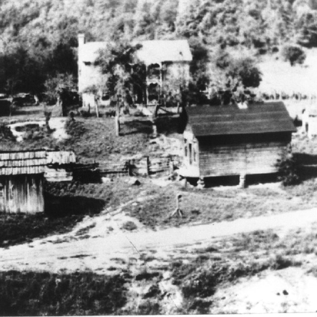 Lilly farm
