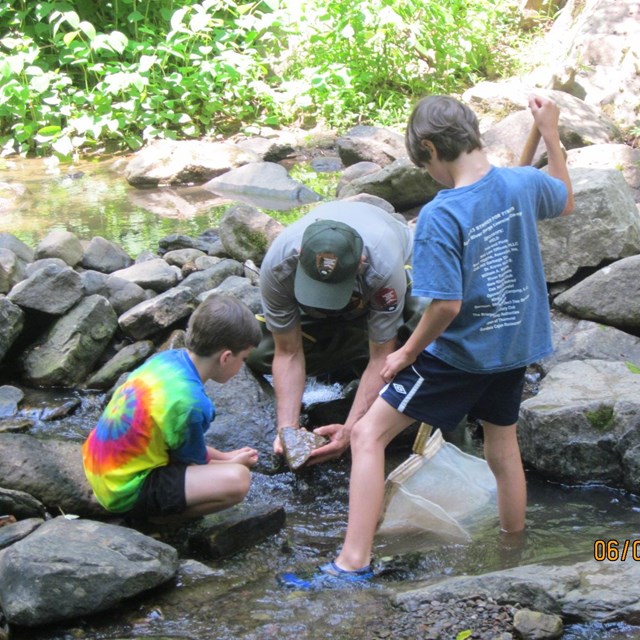 children finding macro invertebrates with a park ranger