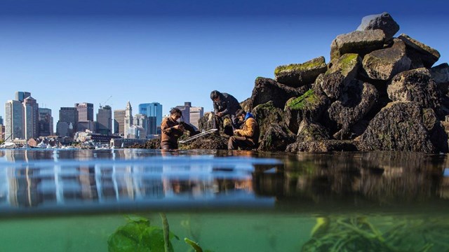 water level view of researchers on a rocky outcropping with city skyline in background. 