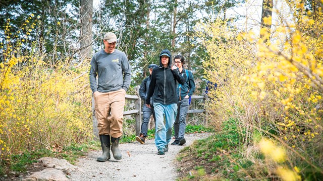 A group of people walk along a gravel path in the middle of a wooded area, with blooming bushes near