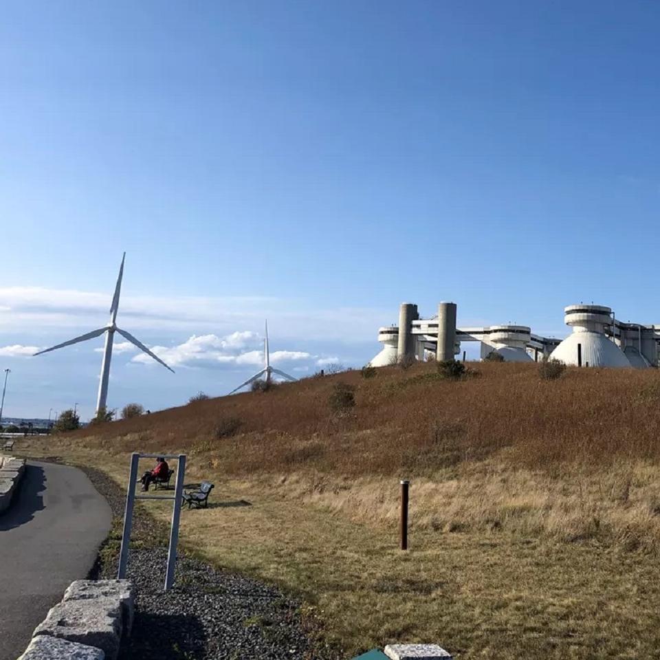 walkway with a grassy hill in autumn. White orbs and a wind turbine in the background.