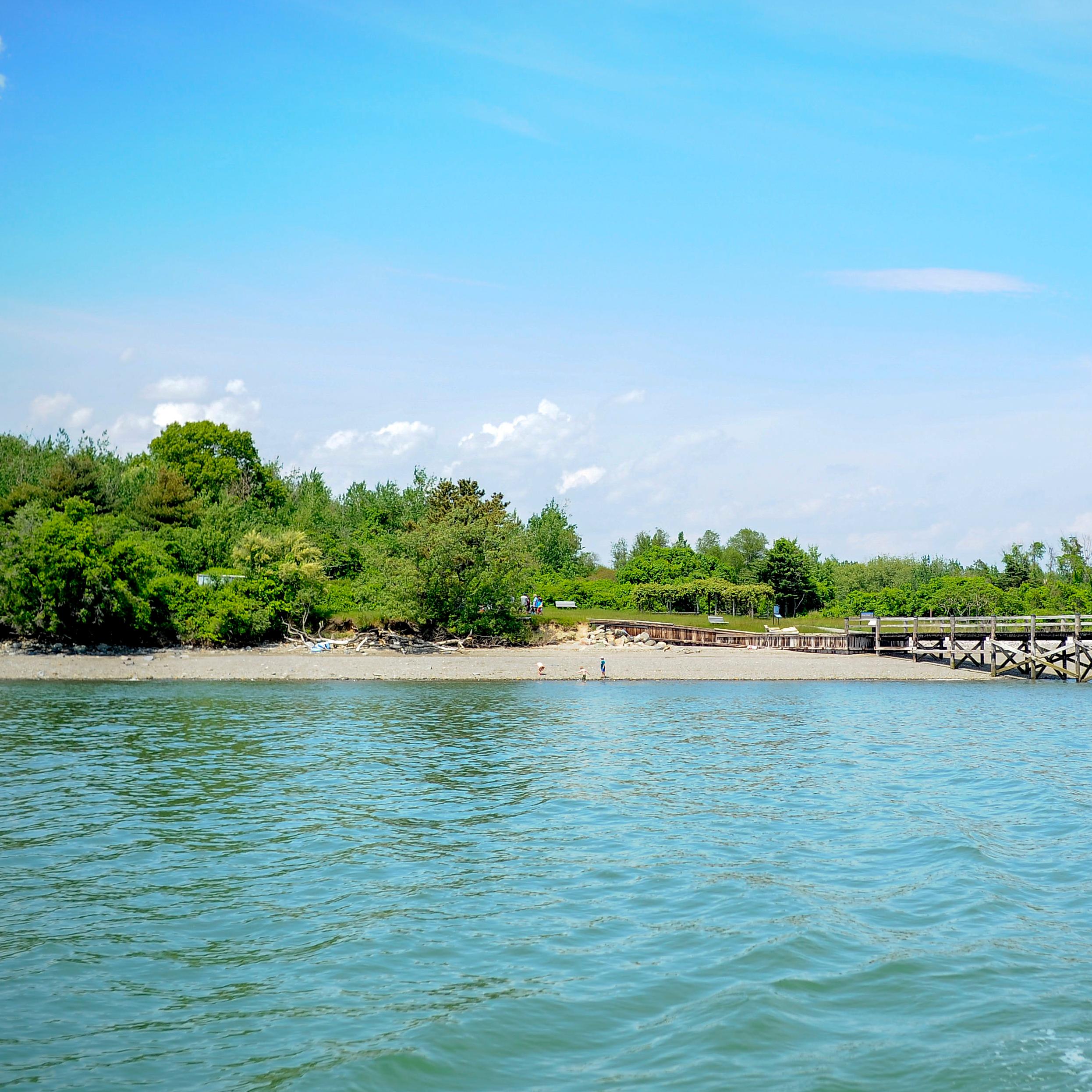 View from the water of a pier, rocky beach, and forested area on an island.