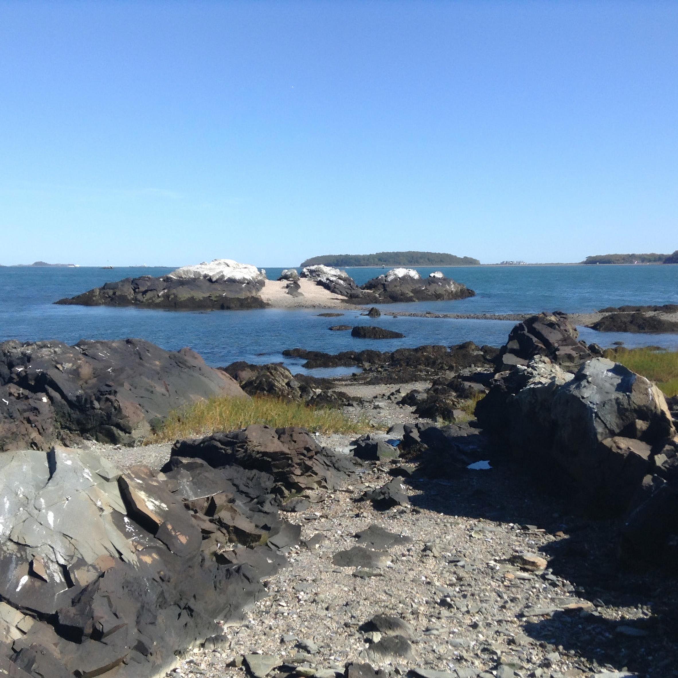 Rocky beach looking towards a small rocky outcropping.