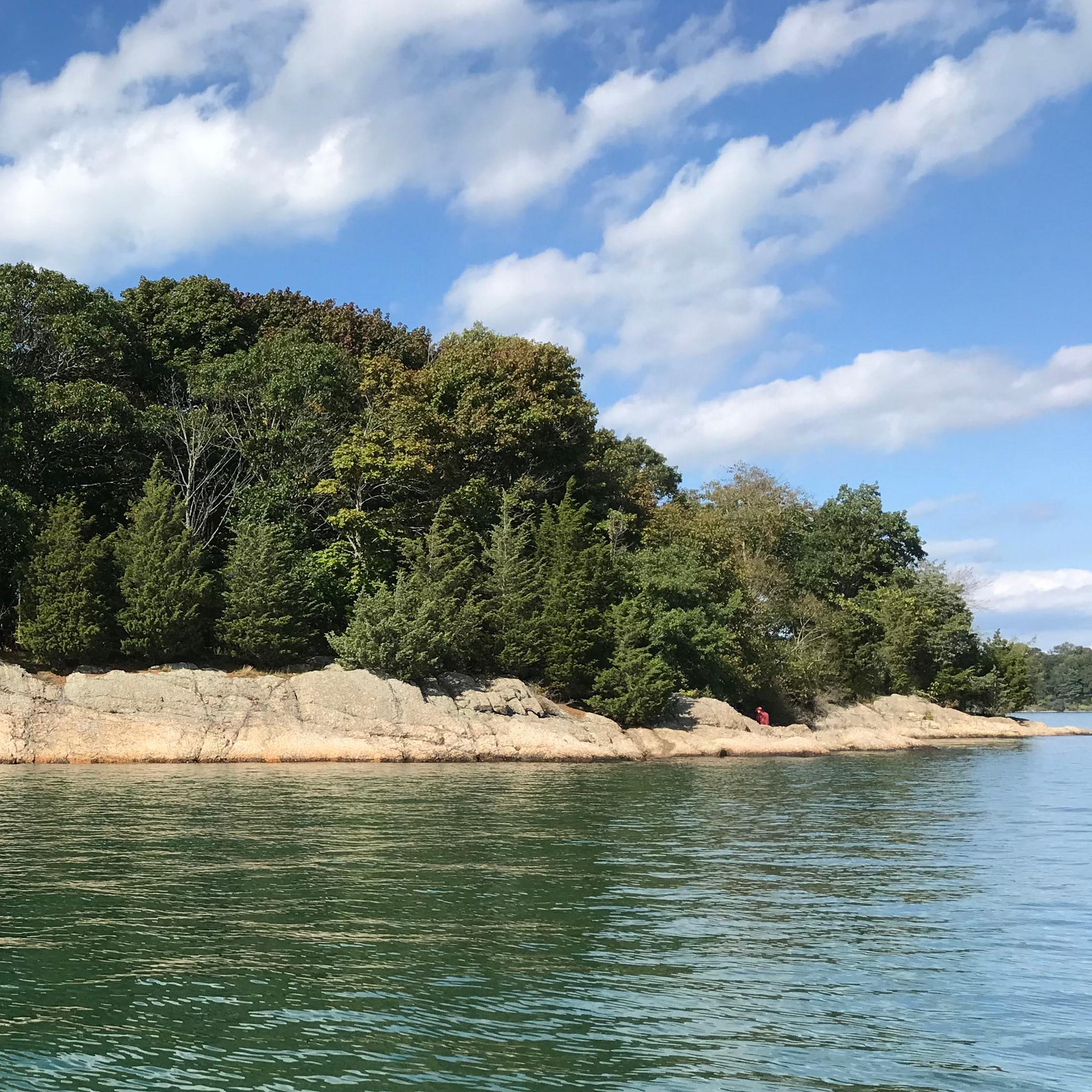 A forested island with sandy bluffs.