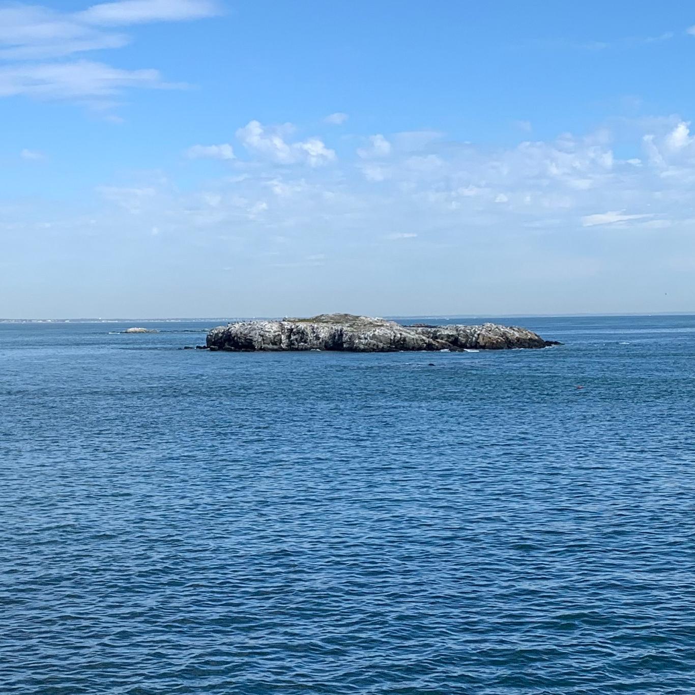 Overlooking the harbor with a small rocky outcropping.