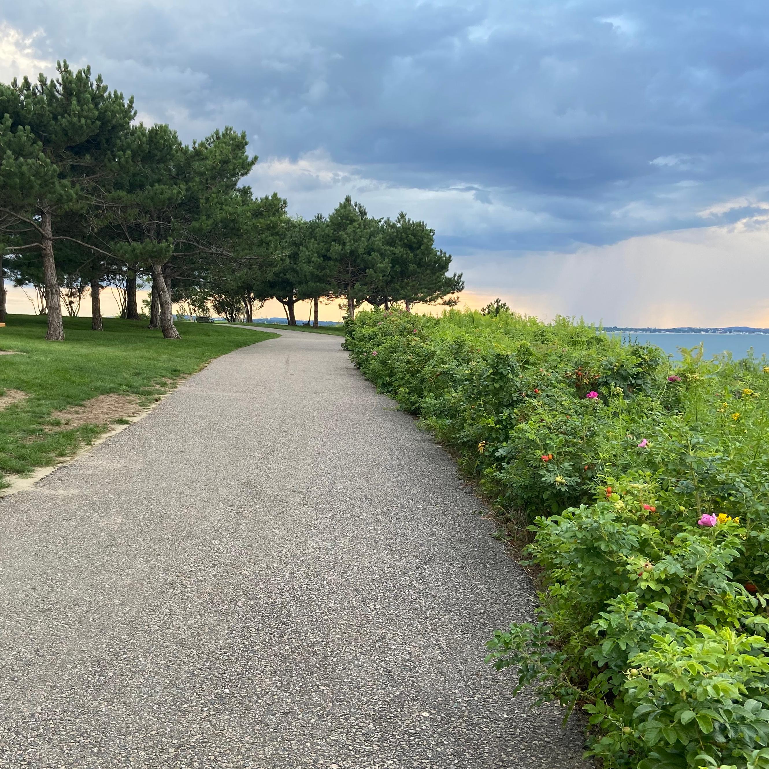 A paved walkway with a grassy area and benches to the left and low bushes to the right.