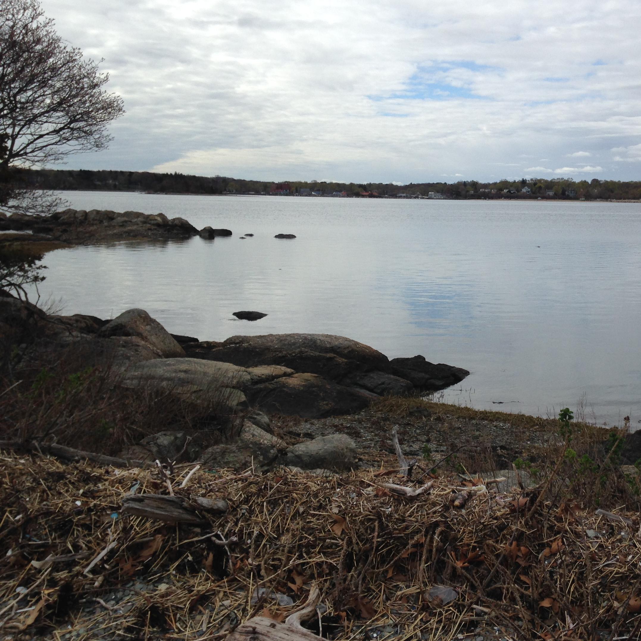 A rocky and pebbly beach overlooking the water.