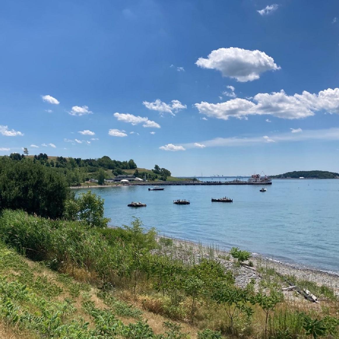 View from drumlin overlooking the coast of Spectacle, with boats and a dock.