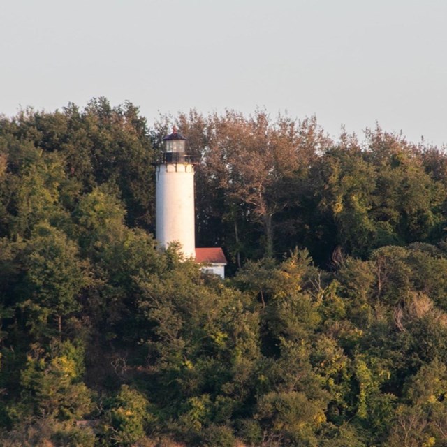 A white lighthouse sticks out among trees