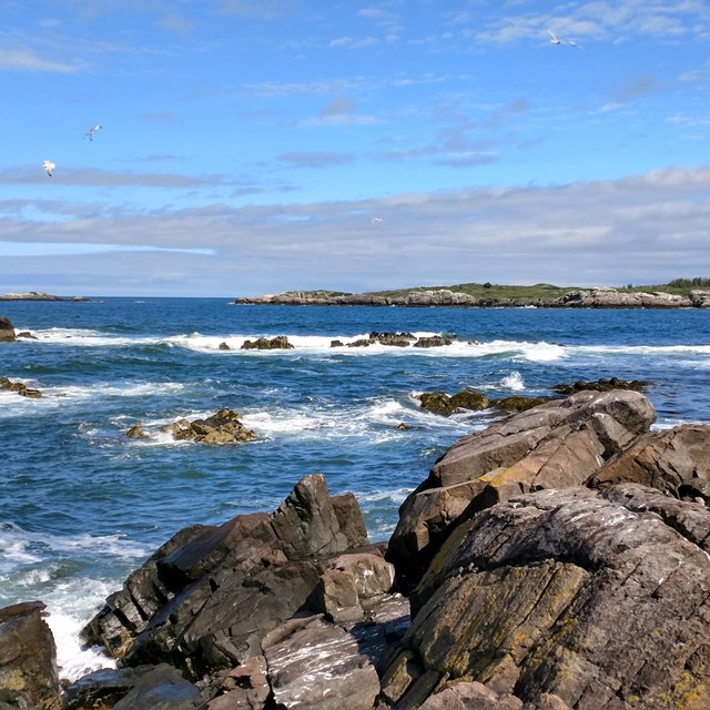 reddish brown rocky shore with the deep blue waters of the outer Boston Harbor in the background