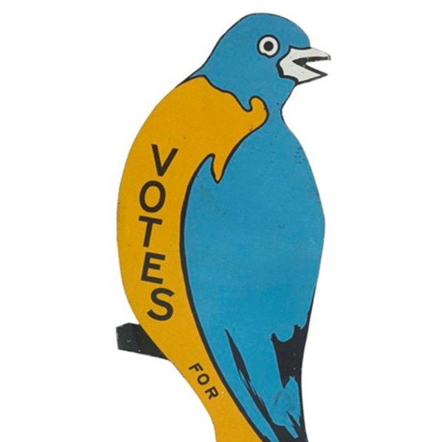 Massachusetts suffrage bluebird