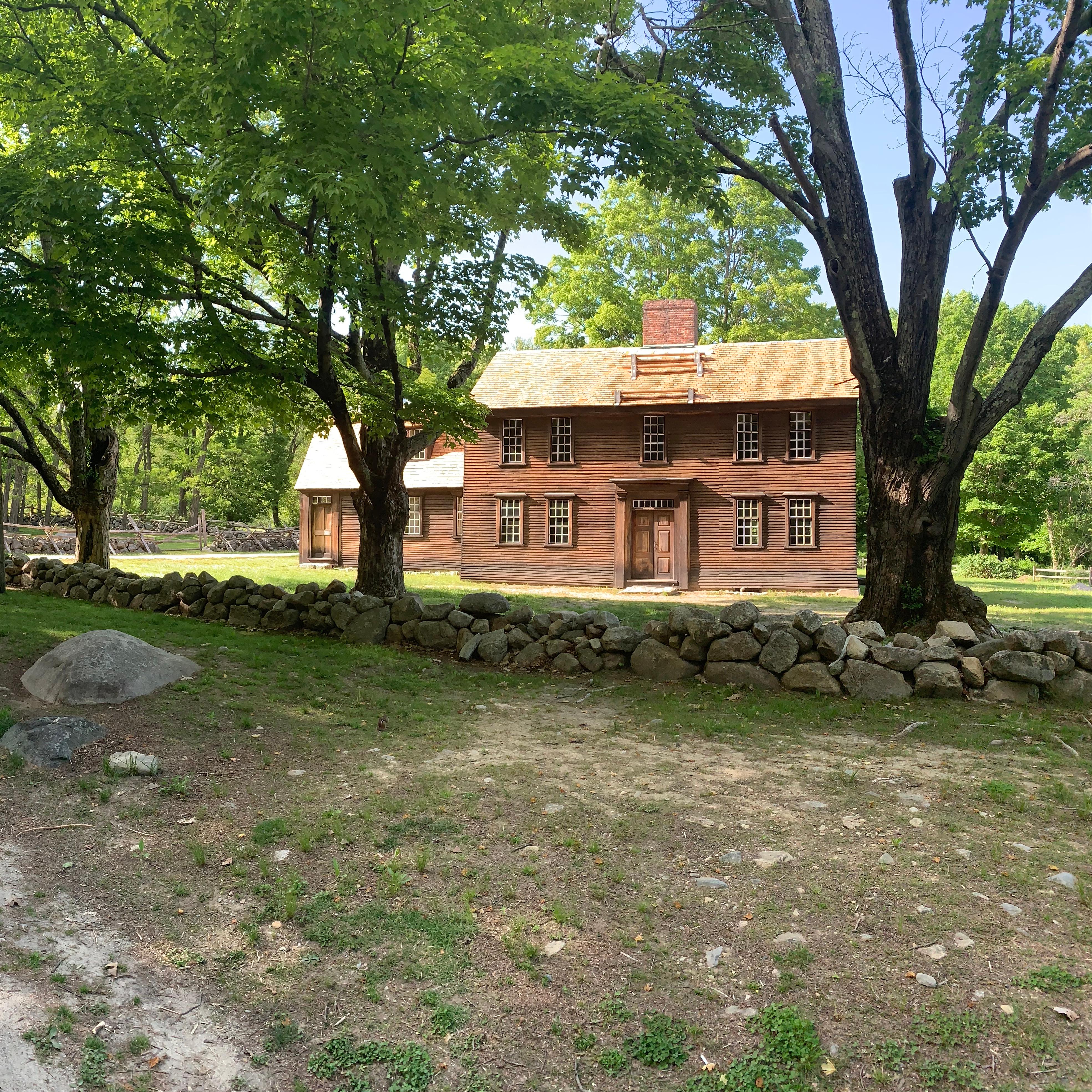 A dirt road flanked by low stone walls cutting through the forest. A wooden house is also visible.