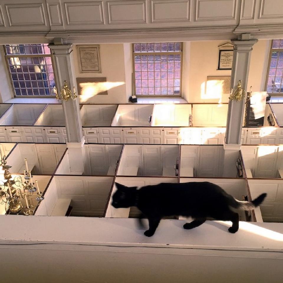 A black cat walks along an upper floor ledge that overlooks pews in a church.