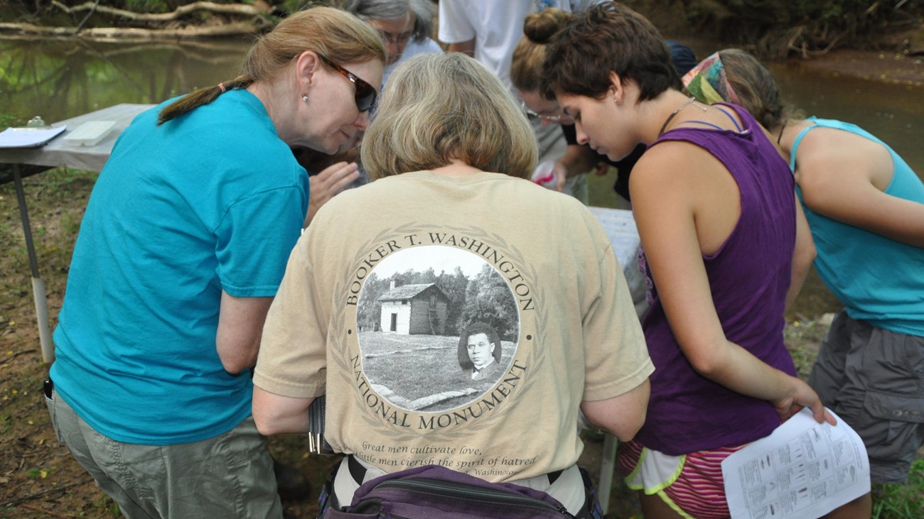 Volunteers stand with biology students identifying aquatic insects.