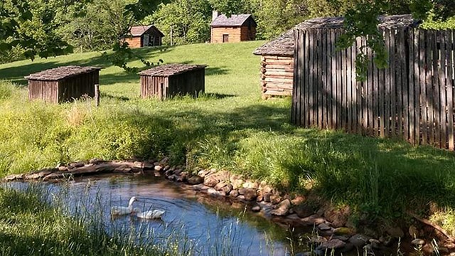 A small pond with ducks with rustic outbuildings and cabins in the background. 