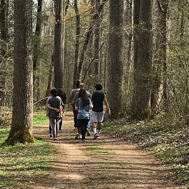 A group of hikers walk along an earthen path surrounded by tall trees on each side. 
