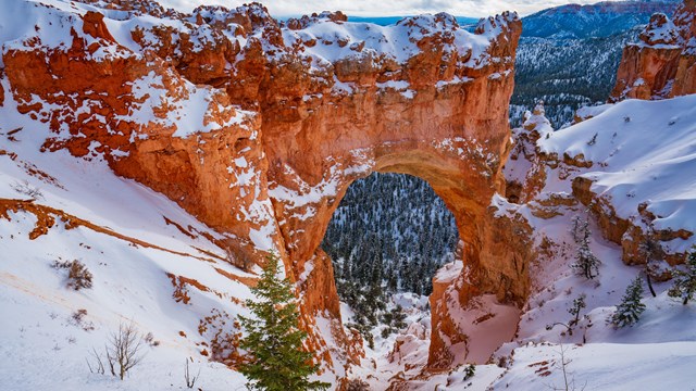 Red rocks in an arch formation covered in snow.