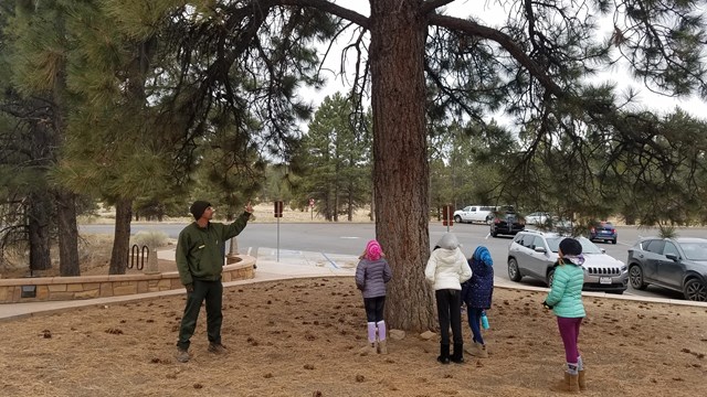 Ranger-led Field Trips