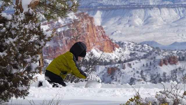 A young boy in a blue coat plays in the snow.