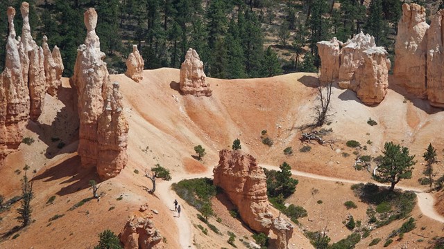 An overhead photo of hikers walking along a path through red rock formations and trees