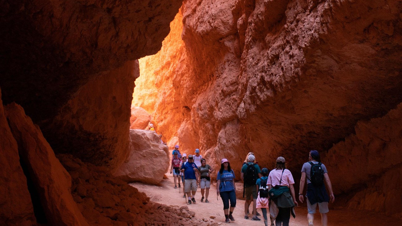 A group of hikers walk between tall red rock walls