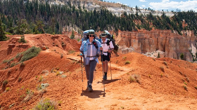 Two hikers use hiking poles and carry backpacks to hike on a red dirt trail.