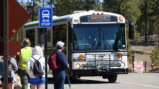 A group of people wait at a bus stop as a shuttle bus approaches in the distance.