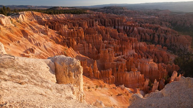 A desert landscape of red and white limestone rock spires and pine forest