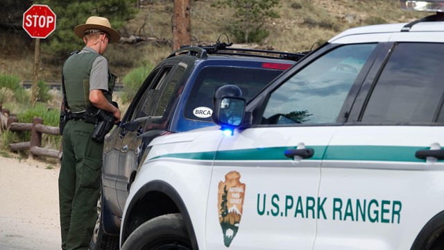 A park service police officer stands beside a blue car during a traffic stop