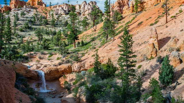 An overhead photo of a waterfall flowing into a stream running through a red rock canyon.