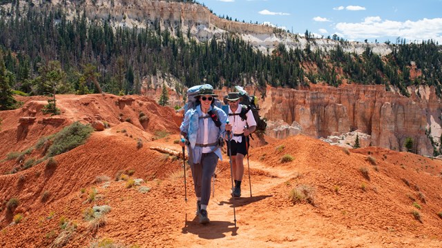 Two hikers carry their gear as they hike along a dirt trail.