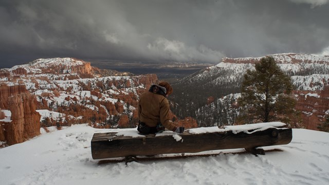 A visitor sits on a snowy bench before a wide canyon scene
