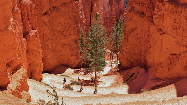Hikers descend a series of switch backs between red rock walls