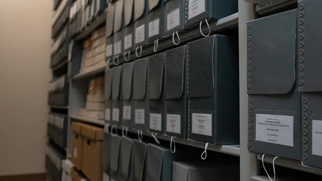 A wall of archival boxes stored on shelves
