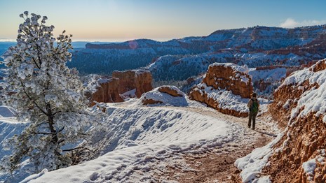A single person hikes down a winding trail covered in snow and ice.