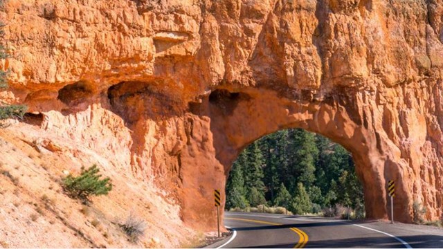 A red limestone tunnel is carved above a two-lane road with forest beyond