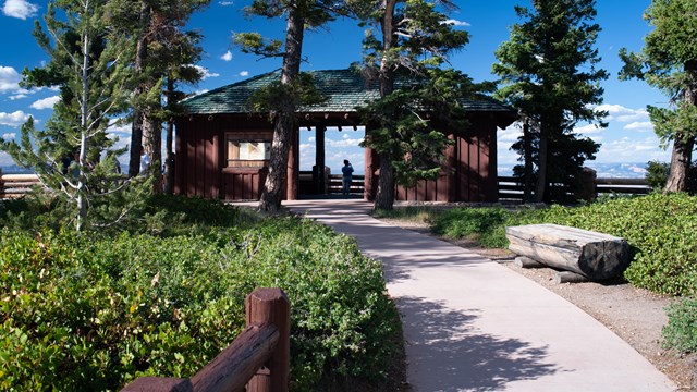 A wooden shelter stands at the end of a sidewalk lined by conifer trees