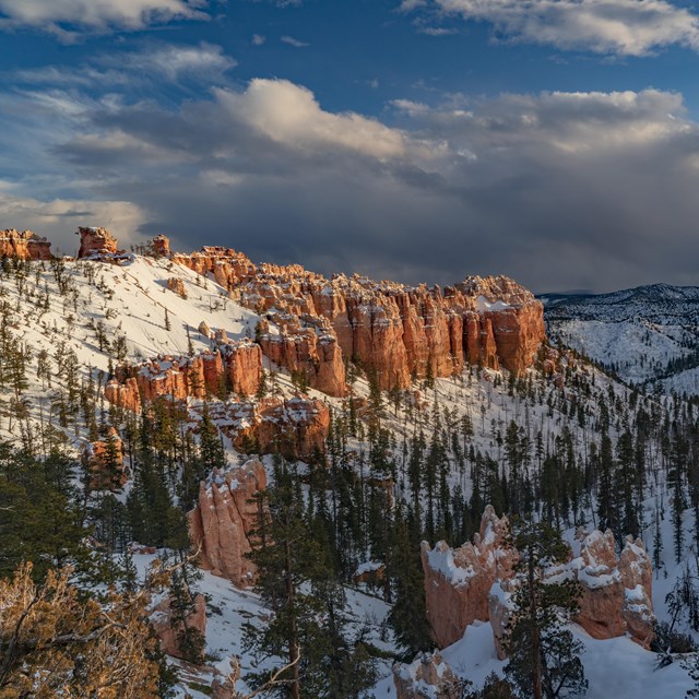 A broad canyon of tall red rock cliffs lined with trees and snow.