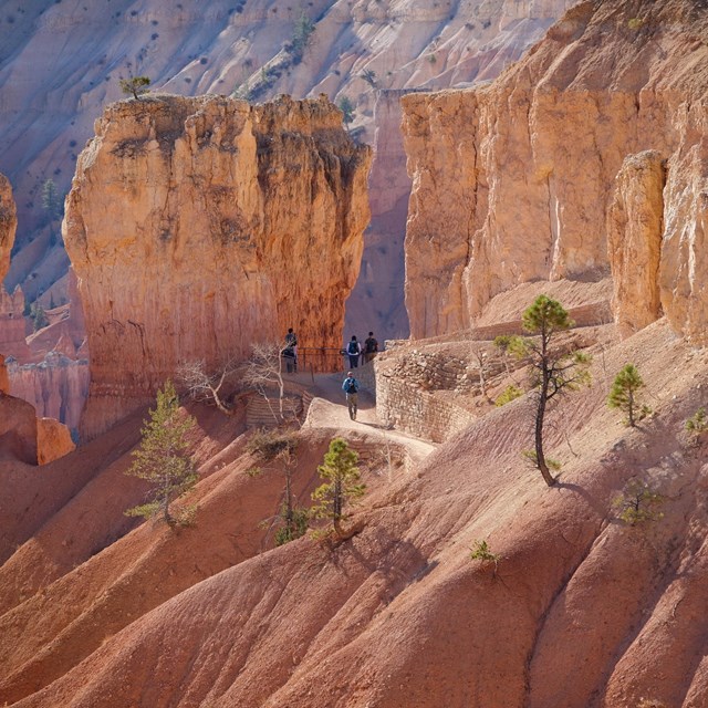 Switchback trail in red rock landscape with numerous people gazing out or walking up