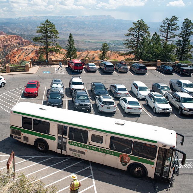 A white and green bus prepares to pull along a road. 