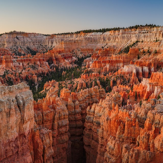 An amphitheater filled with red rock formations.