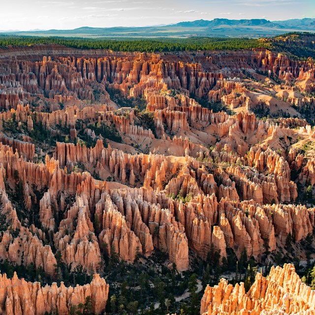 An aerial view of the amphitheater filled with red rock formations.