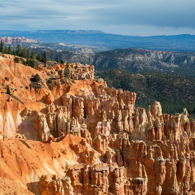 Red rock formations with a background of green trees and stormy skies.